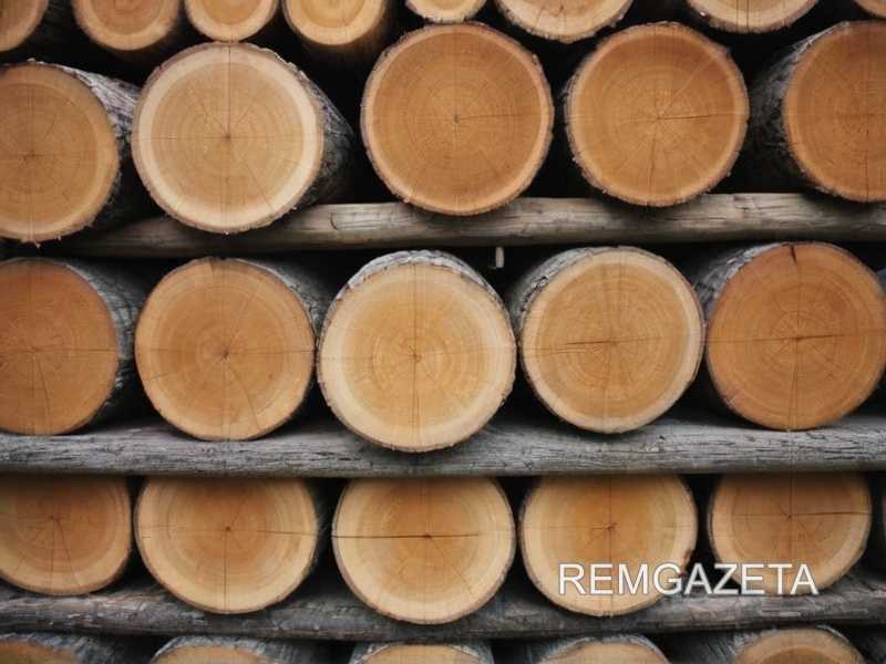 Сочетание природной структуры дерева с современными материалами в интерьере