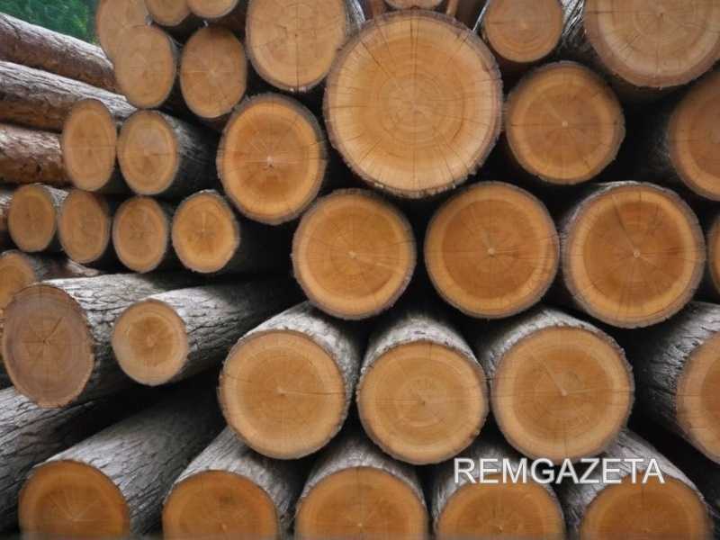 Как определить подходящий тип древесины для разных элементов мебели