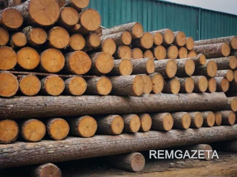 Рекомендации по выбору древесины с учетом климата и влажности