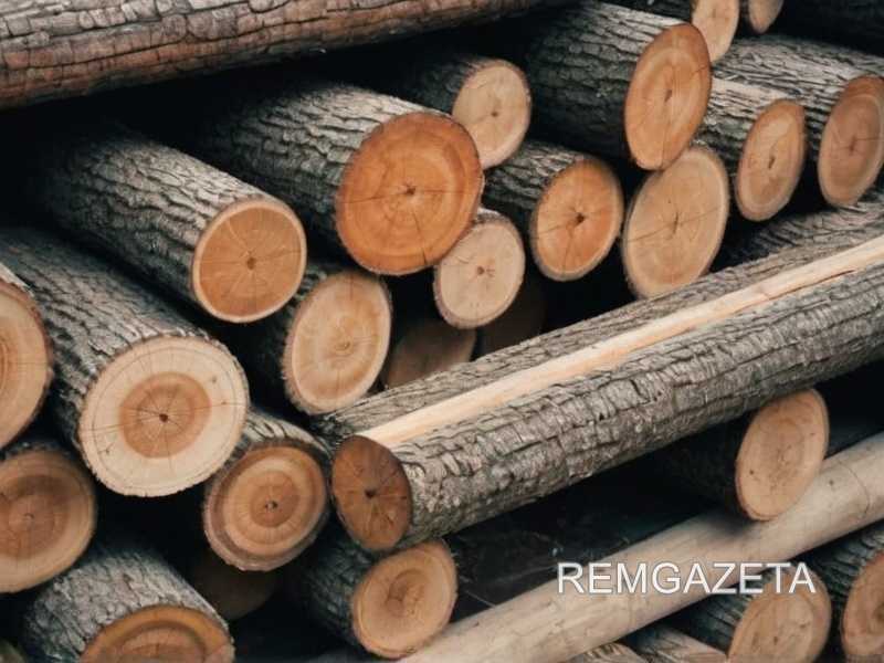 Особенности склеивания экзотических пород: как избежать расслоения