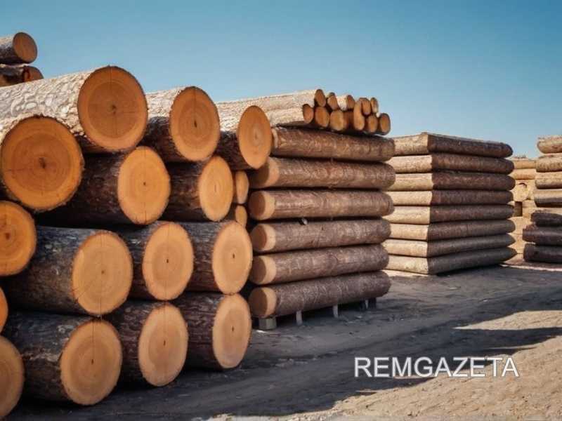 Как сделать декоративные полки с подсветкой из дерева