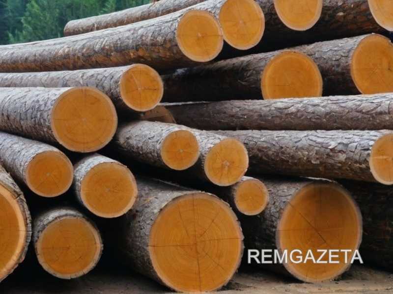 Как выбрать древесину, подходящую для прямого контакта с землей